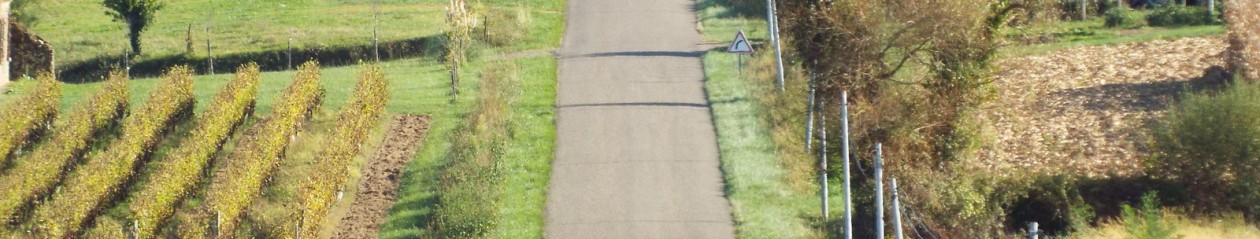 Lias d'Armagnac, la commune de Gascogne qui bouge